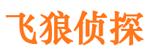 宁都寻人公司